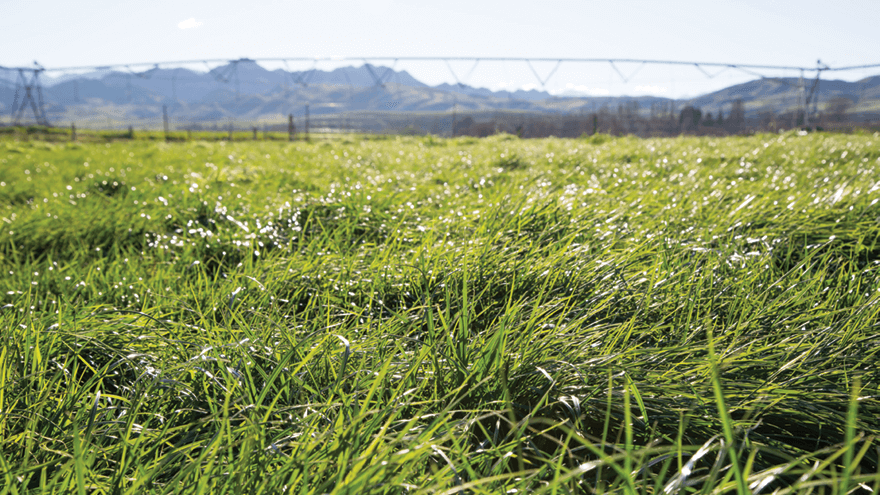 Get ready for spring cropping