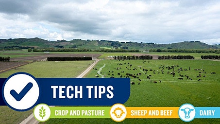 October agronomy, animal health and nutrition technical tips 