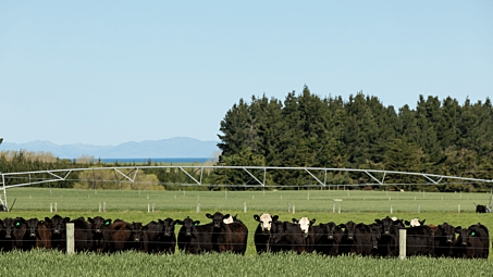 Partnership supports farmers to reduce greenhouse gas emissions