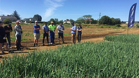 Enhancing IPM practices in onions