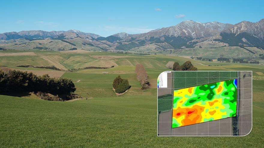 Soil variability: Measurement and management techniques 