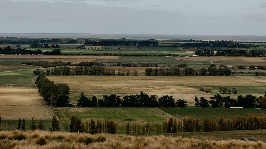 Identifying poor performing paddocks ahead of sowing crops