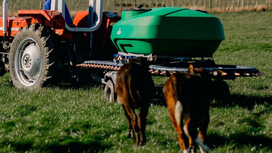 Ten essential products for a successful calf rearing