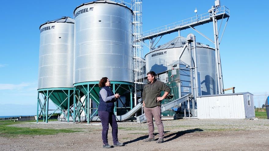 Rescuing lost barley yield from ramularia