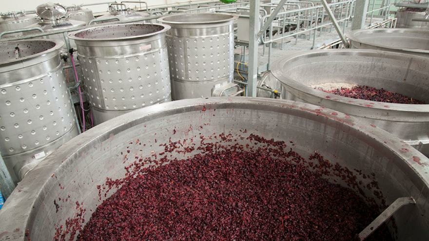 Specialised Fermentation Aids Provided by Fruitfed Supplies