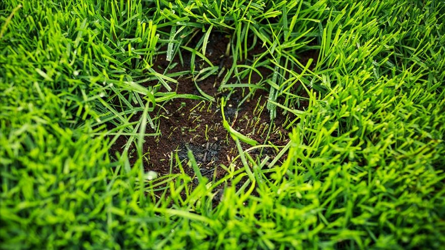 Here's how to make lawn repairs easy