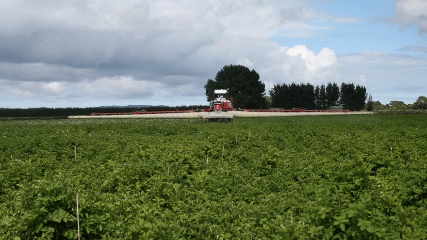 Vigilance required to prevent insecticide resistance in horticultural crops