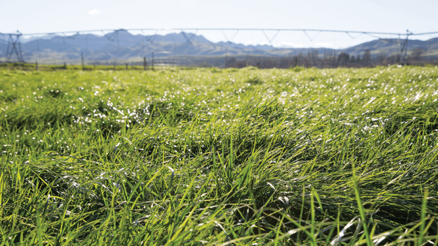 Get ready for spring cropping