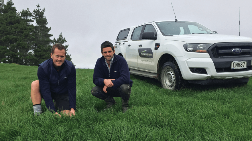 New tetraploid hybrid ryegrass delivers through the seasons 