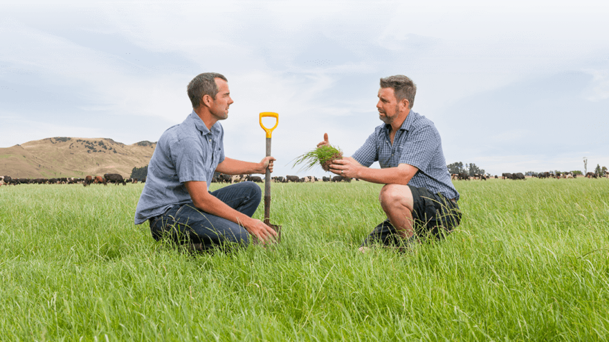 Local and technical knowledge equals tailored solutions