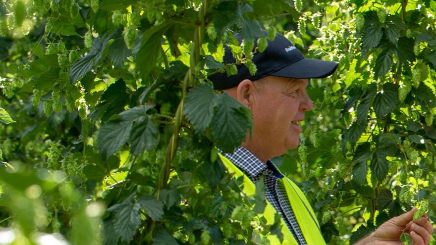 Busy horticultural crop monitoring season underway
