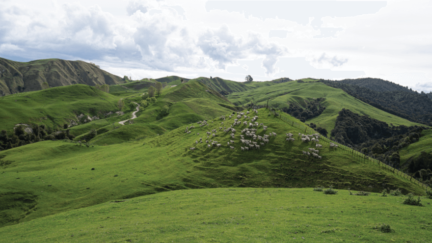 Autumn fertiliser considerations