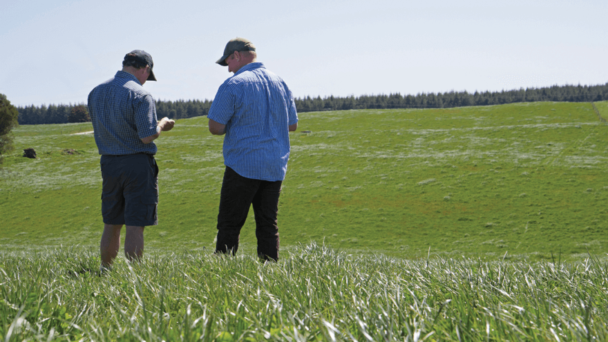 A ‘how to’ guide to pasture renewal 