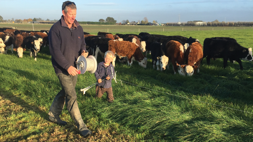 Introducing milk replacer to calf rearing