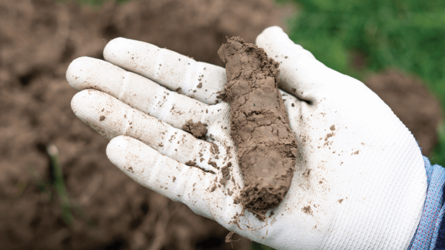 Soil testing: a sound investment for your farm