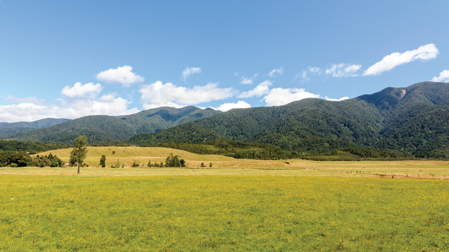 Two new additions help fight weeds in pasture