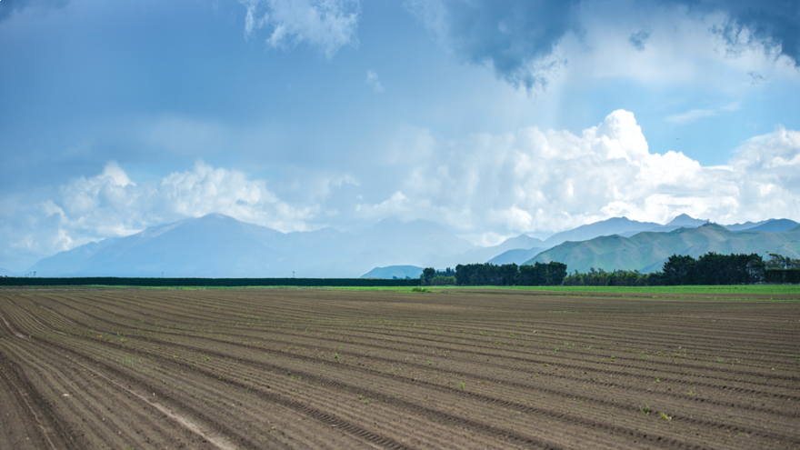 Assessing paddocks before cultivation