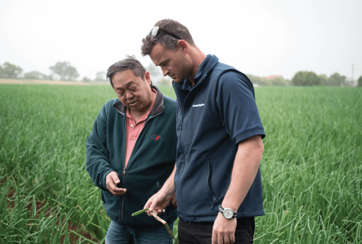 Generational vegetable business continues to thrive