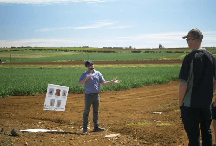 Growing sustainably with Integrated Pest Management