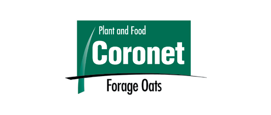 Coronet Forage Oats