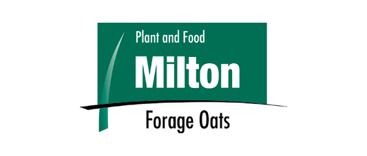 Milton Forage Oats